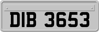 DIB3653