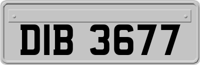 DIB3677