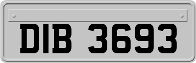 DIB3693
