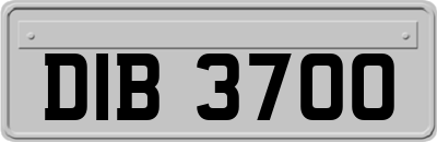 DIB3700