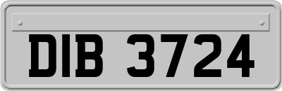 DIB3724