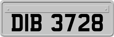 DIB3728
