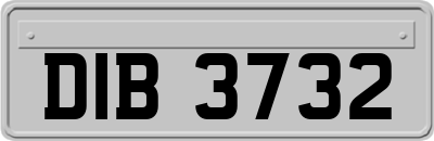 DIB3732