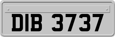 DIB3737
