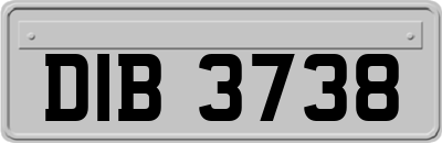 DIB3738
