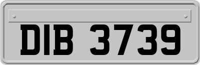 DIB3739