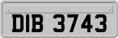 DIB3743