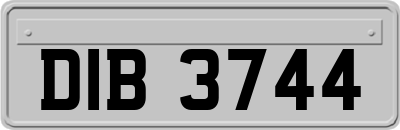 DIB3744