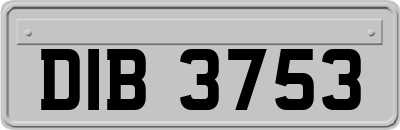 DIB3753