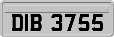 DIB3755