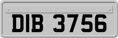 DIB3756
