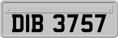 DIB3757