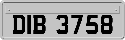 DIB3758