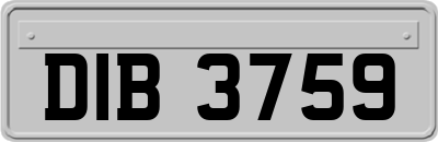 DIB3759