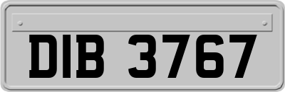DIB3767
