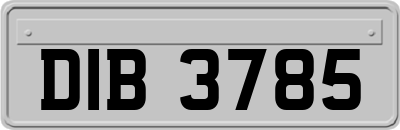 DIB3785
