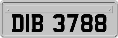 DIB3788