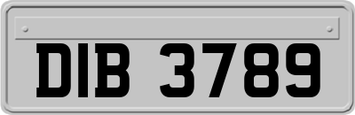 DIB3789
