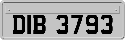 DIB3793