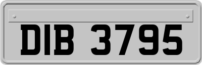 DIB3795