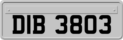 DIB3803