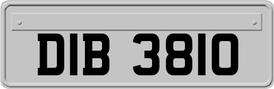 DIB3810