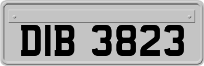DIB3823