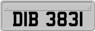 DIB3831