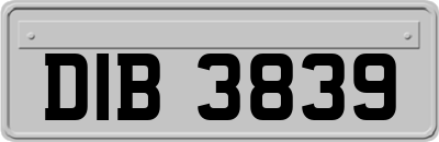 DIB3839