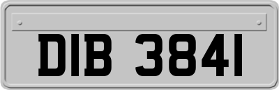 DIB3841