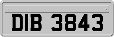 DIB3843