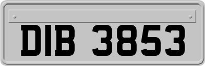 DIB3853