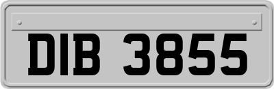DIB3855