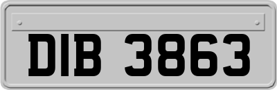 DIB3863