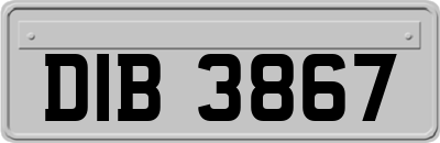 DIB3867