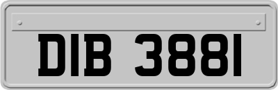 DIB3881