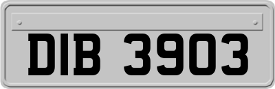 DIB3903