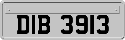 DIB3913