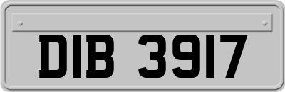 DIB3917
