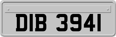 DIB3941