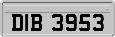 DIB3953