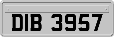 DIB3957