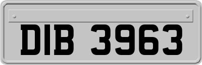 DIB3963