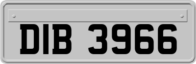 DIB3966