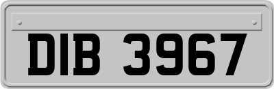 DIB3967