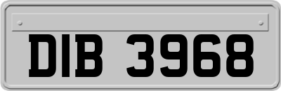 DIB3968