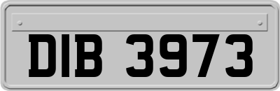 DIB3973