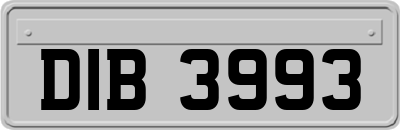 DIB3993