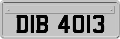 DIB4013