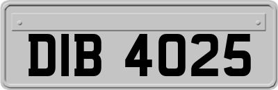 DIB4025